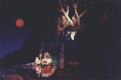 2001 - Into the Woods