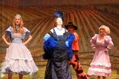 2011 - Curtains