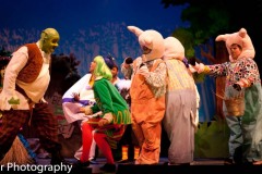 Shrek-2014-023