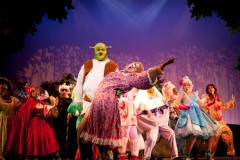 Shrek-2014-029