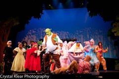 Shrek-2014-031