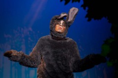 Shrek-2014-033