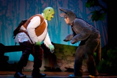 Shrek-2014-035
