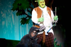 Shrek-2014-038