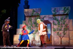 Shrek-2014-060
