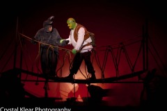 Shrek-2014-076