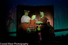 Shrek-2014-1