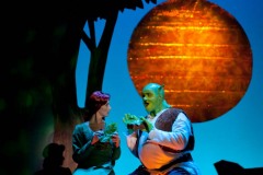 Shrek-2014-134