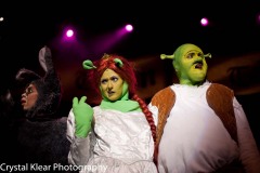 Shrek-2014-175