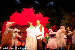 Shrek-2014-187