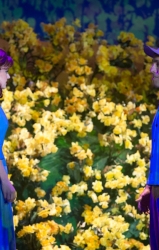 Big Fish Dress Rehearsal_02-04-16